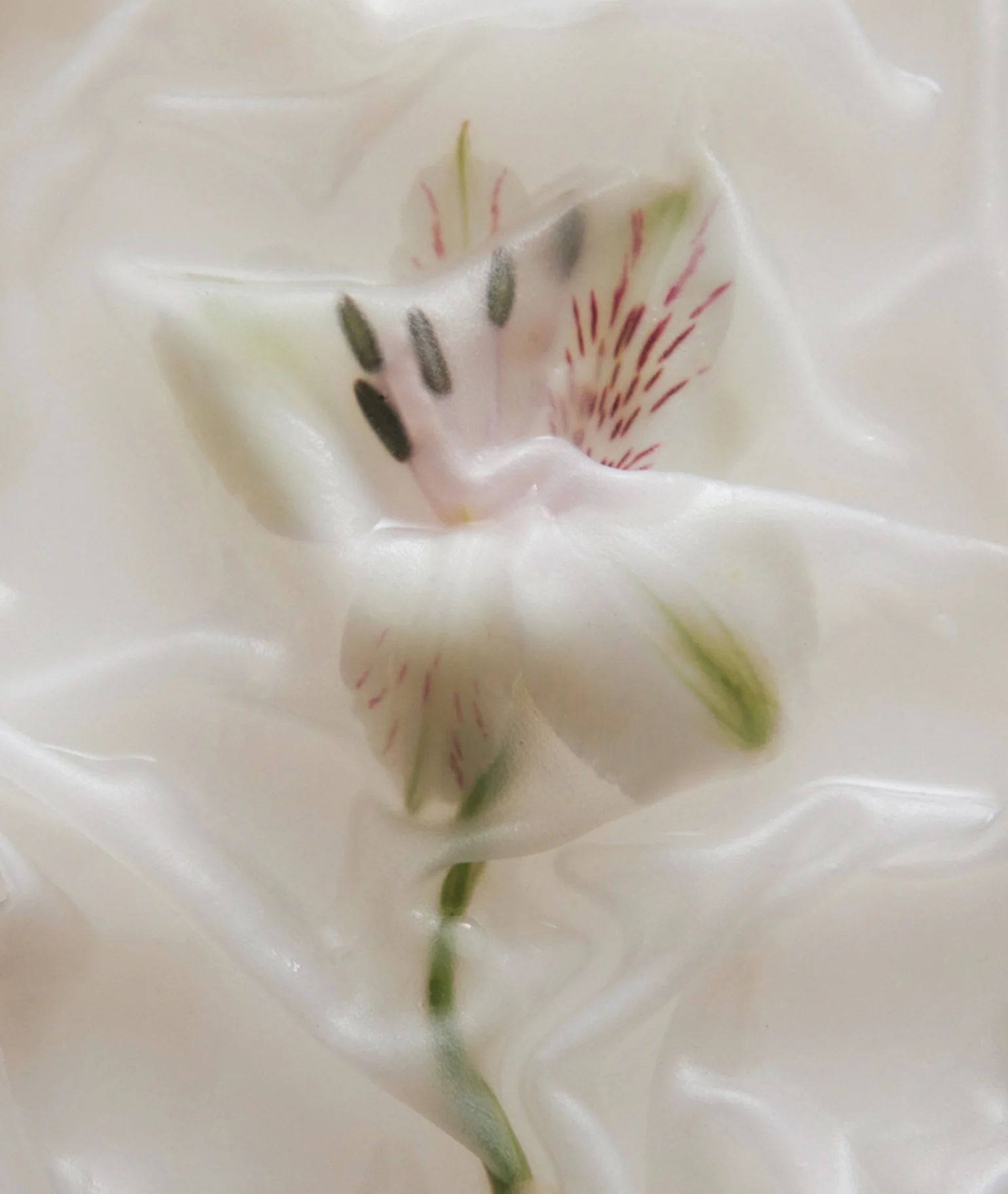 000 Eau de Parfum - Image 7