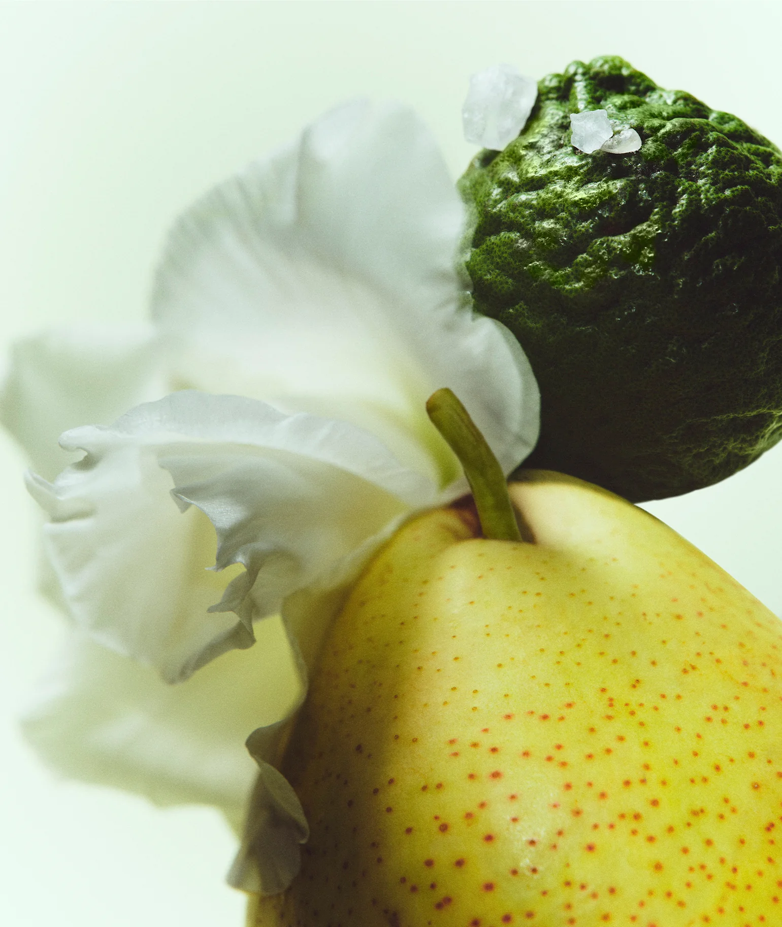 Bisous de Fleur Eau de Parfum - Image 5