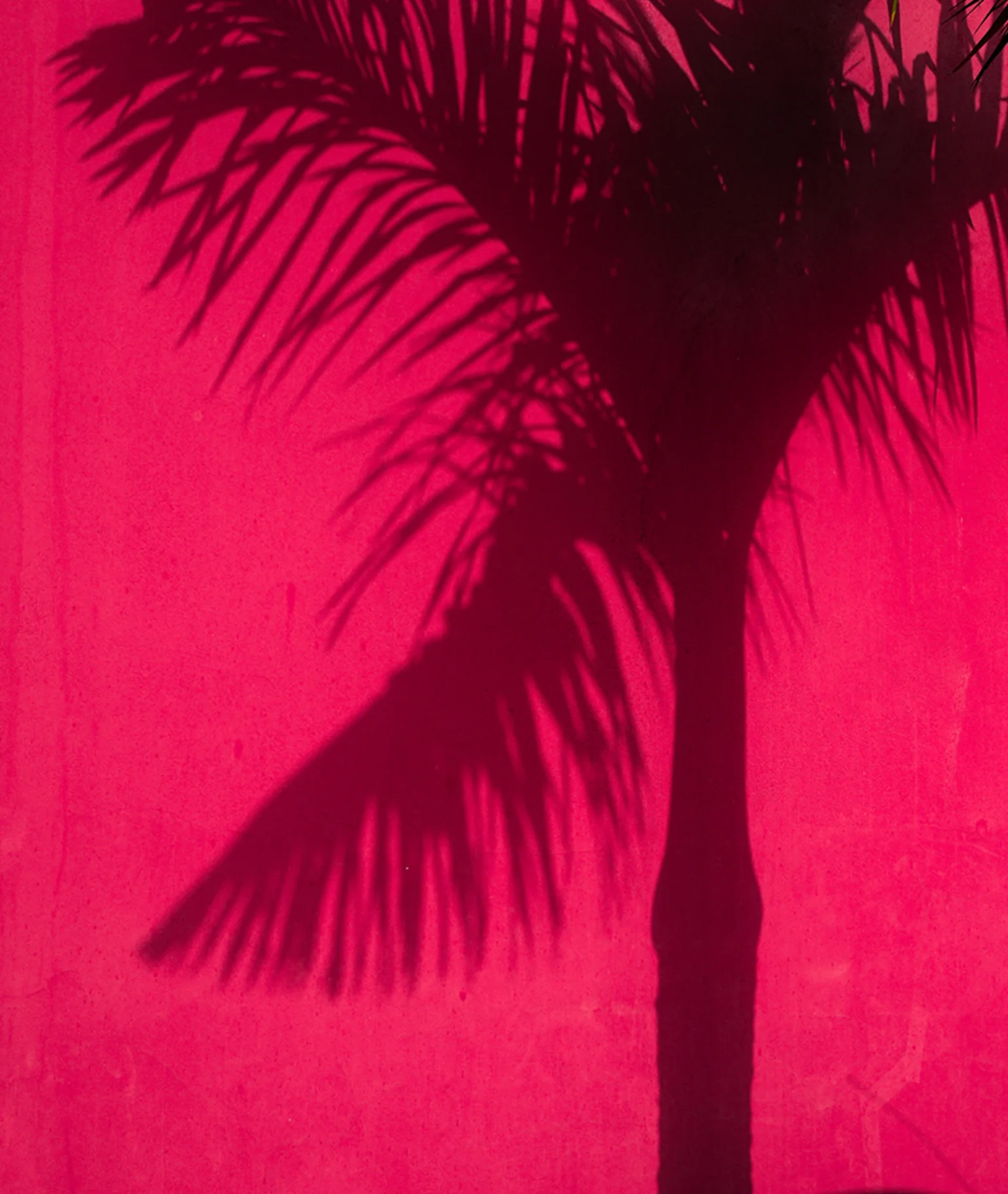 Fruit du Dragon Hair & Body Perfume Mist - Image 6