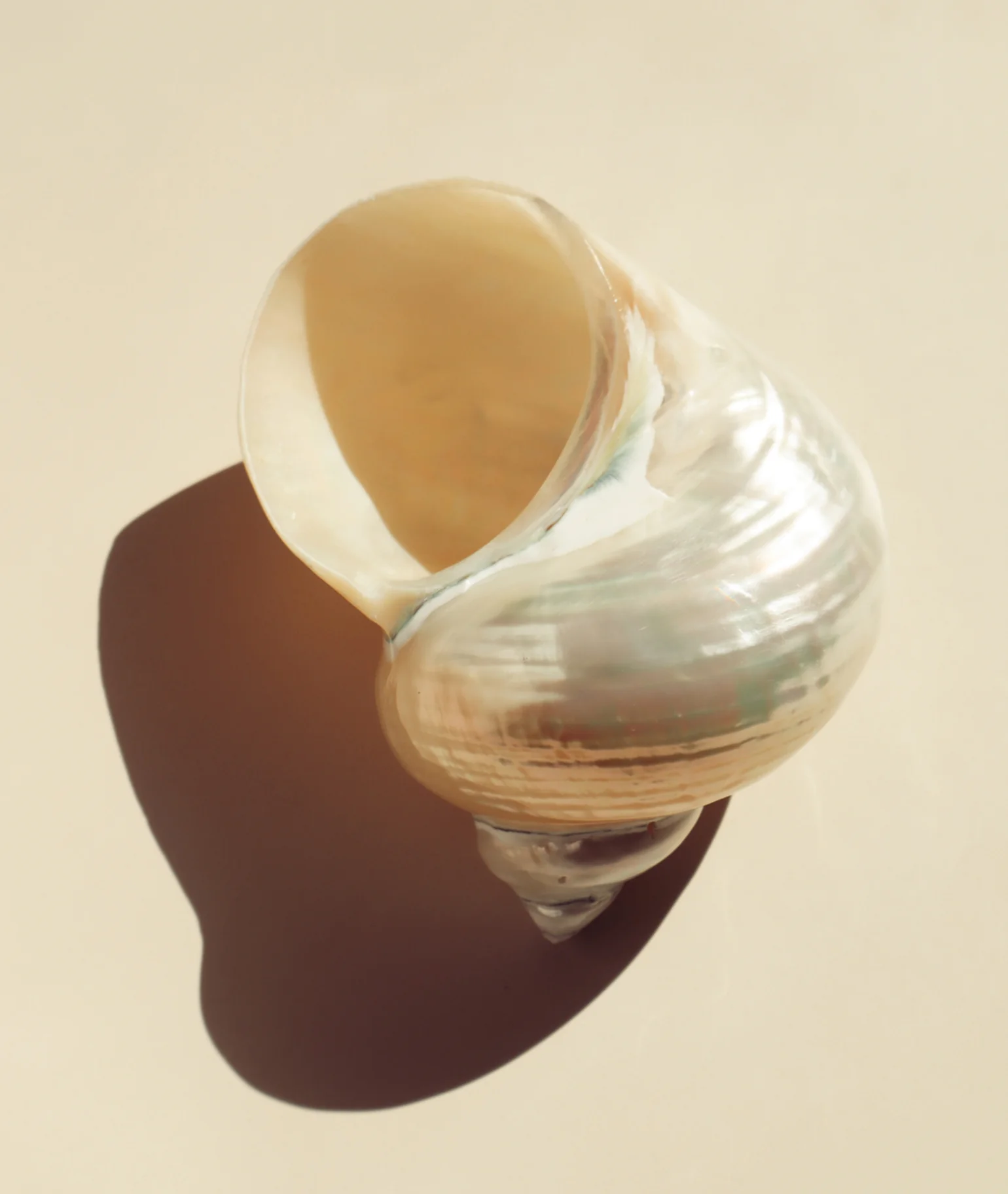 Le Beach Perfume Oil - Image 3