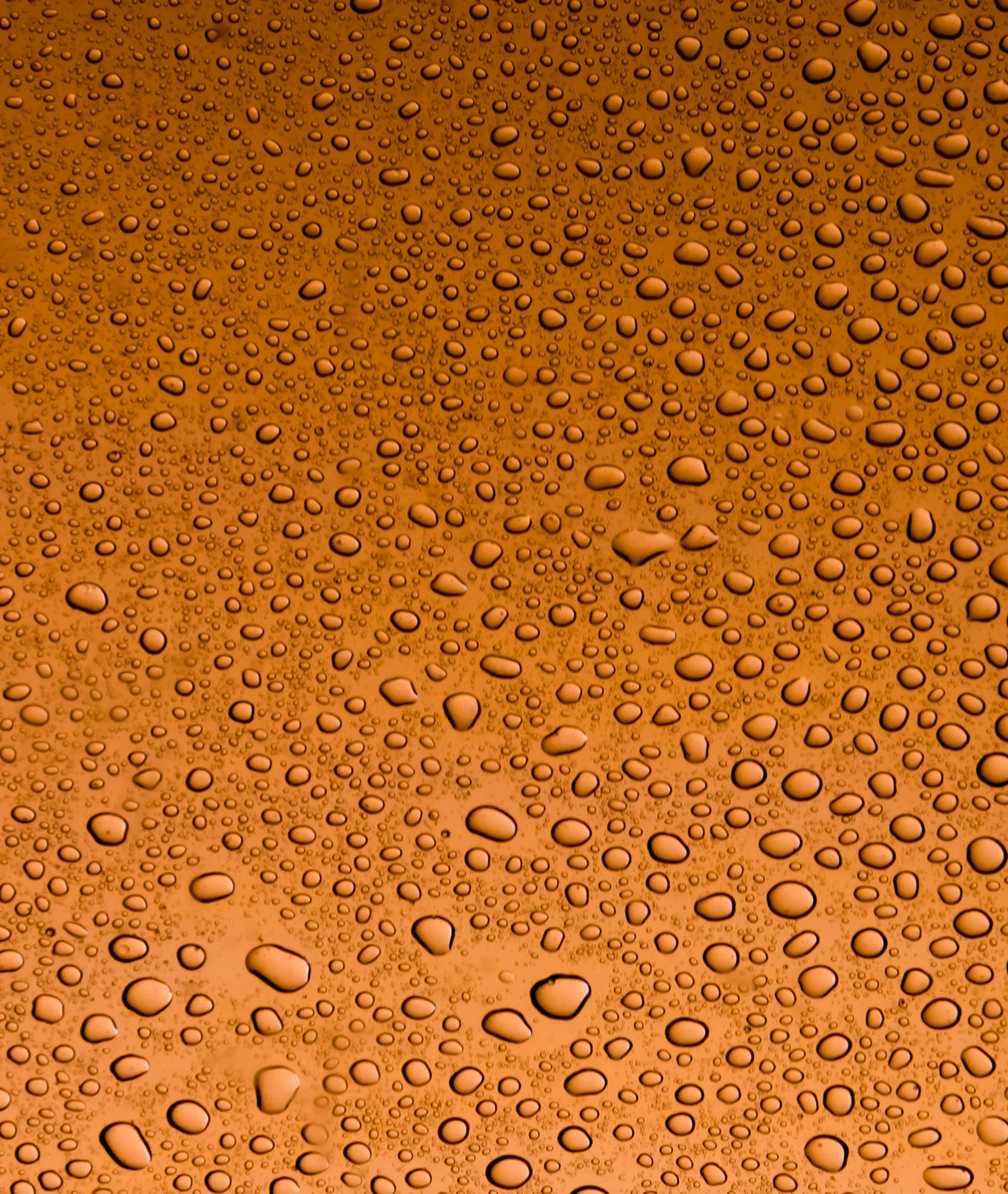 Noir Distillé Eau de Parfum - Image 4