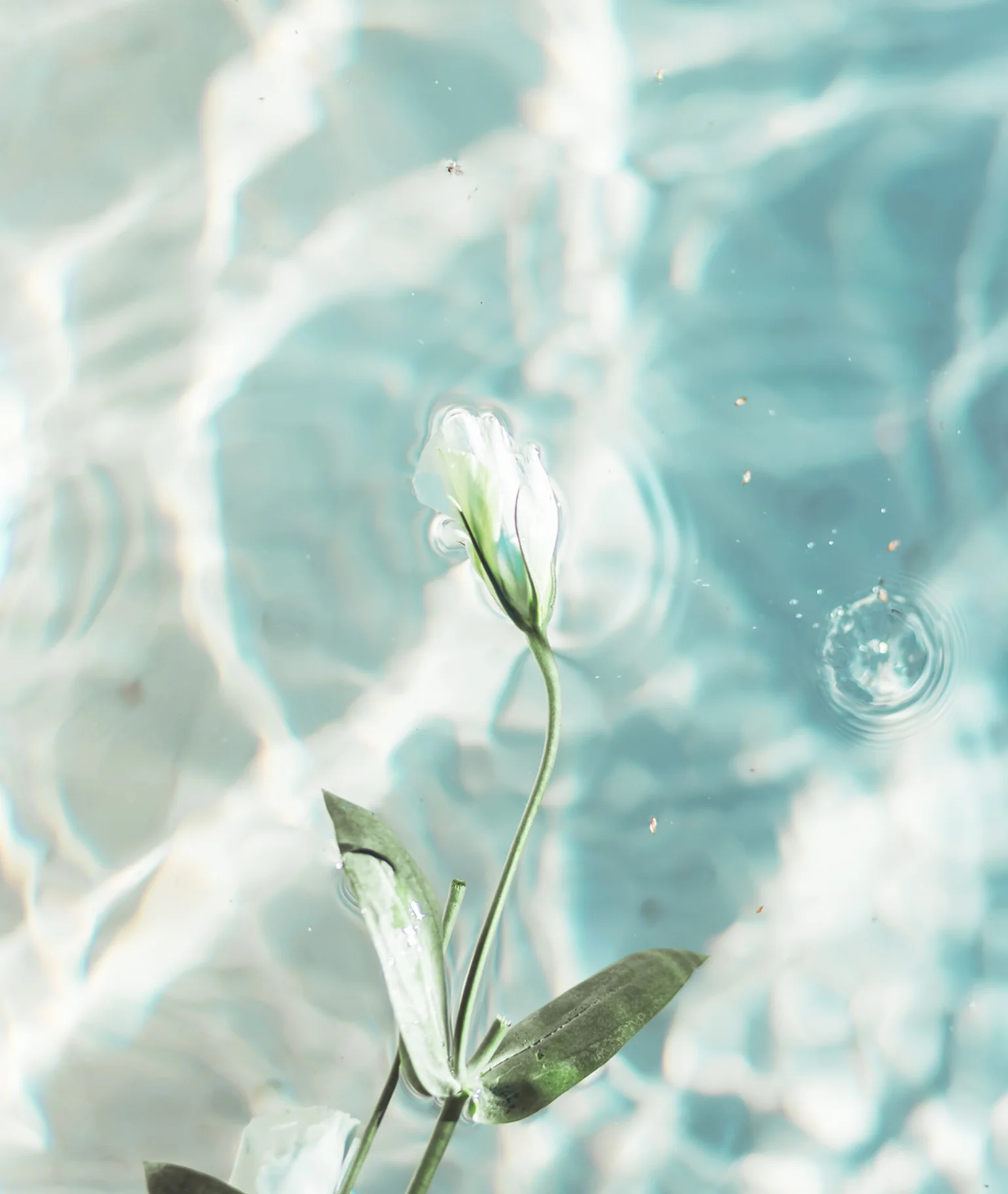 Sel Océan Hair & Body Perfume Mist - Image 4