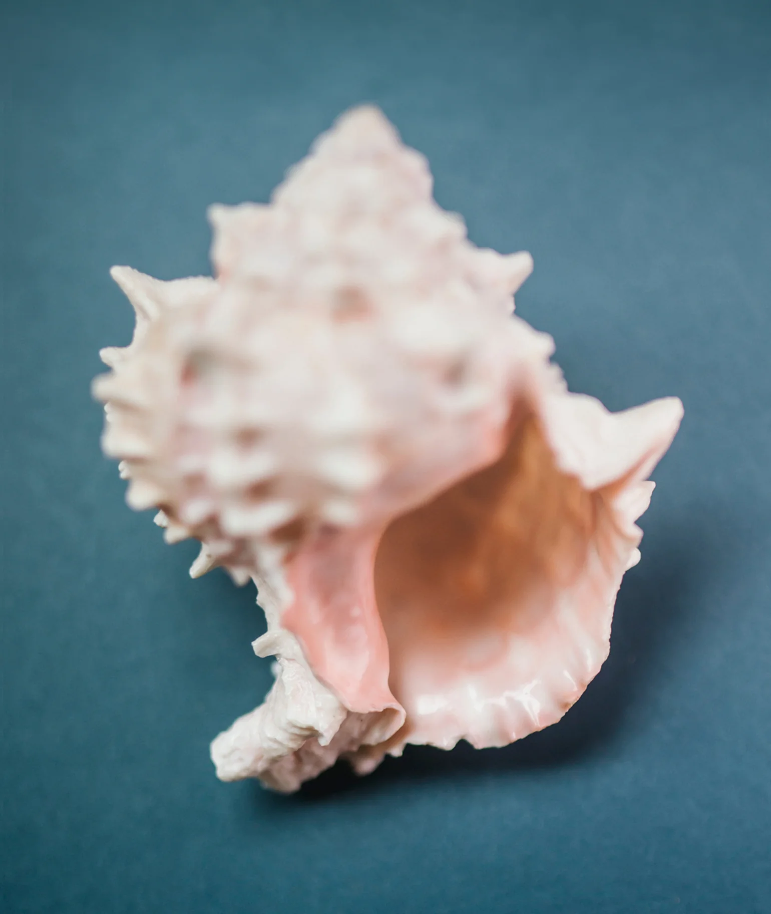 Sel Océan Hair & Body Perfume Mist - Image 5